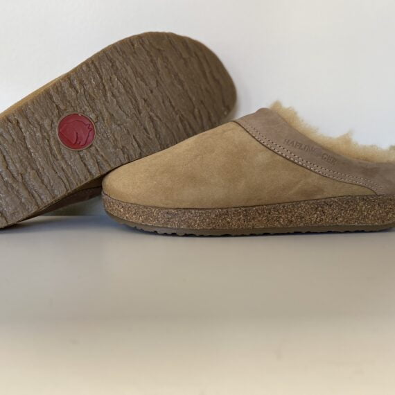 Haflinger Snowbird