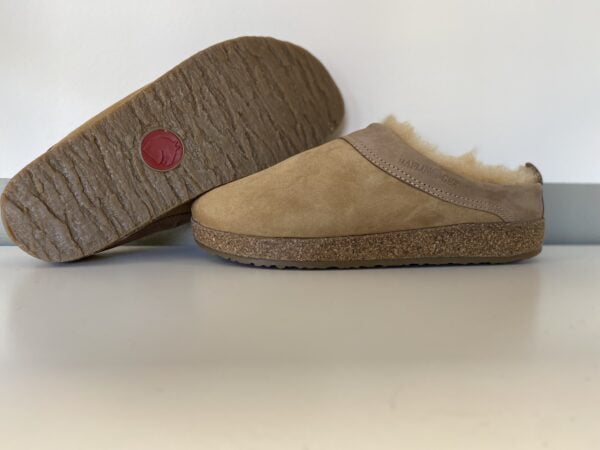 Haflinger Snowbird