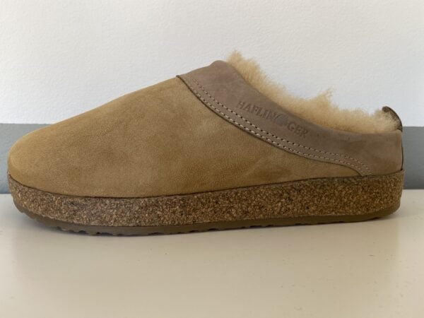 Haflinger Snowbird - Afbeelding 2